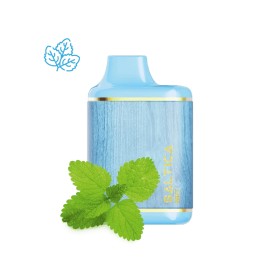 Saltica Leather 7000 Mint Disposable Vape Bar Saltica Leather 7000 Mint Disposable Vape Bar